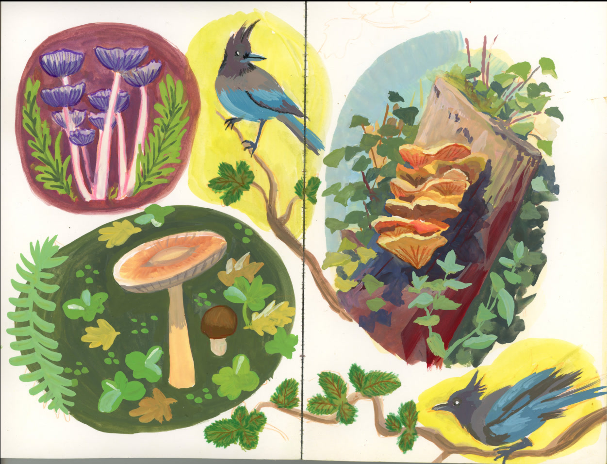 Paintings
