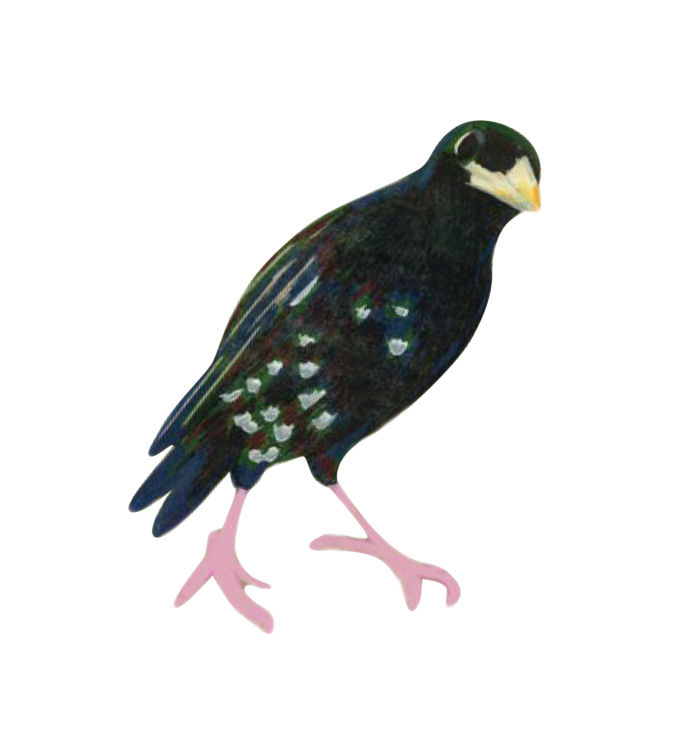 Sticker 1